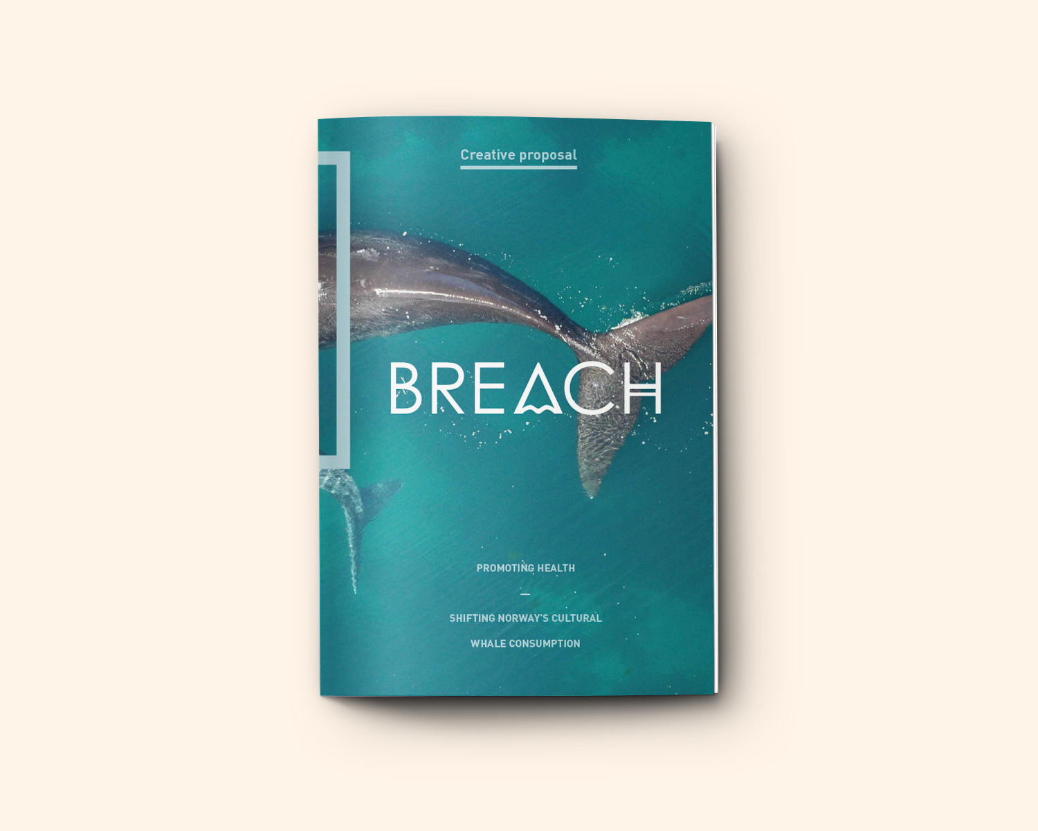 Breach Front